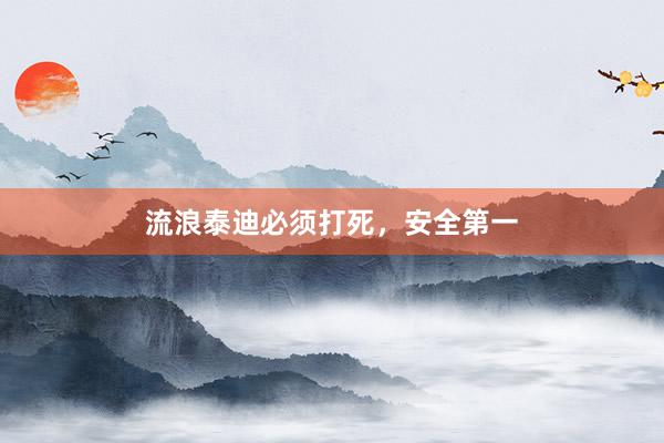 流浪泰迪必须打死，安全第一