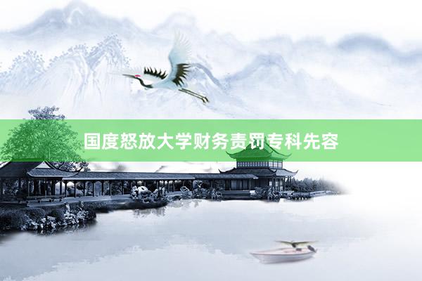 国度怒放大学财务责罚专科先容