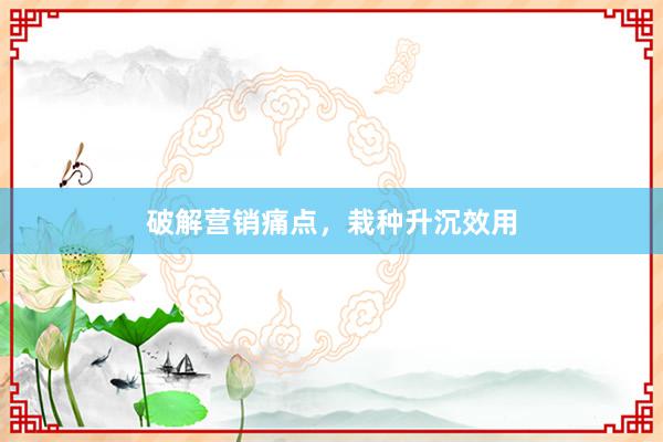 破解营销痛点，栽种升沉效用